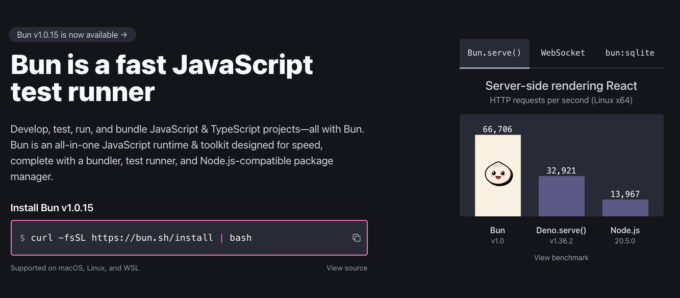 bun official doc screenshot